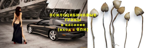 соль ск Абдулино