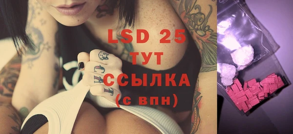 ГАЛЛЮЦИНОГЕННЫЕ ГРИБЫ Абаза