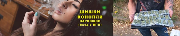 ГАЛЛЮЦИНОГЕННЫЕ ГРИБЫ Абаза