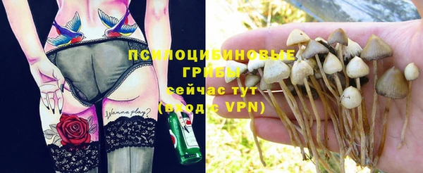 соль ск Абдулино