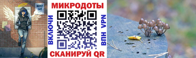 omg как войти Магадан Псилоцибиновые грибы Psilocybine cubensis