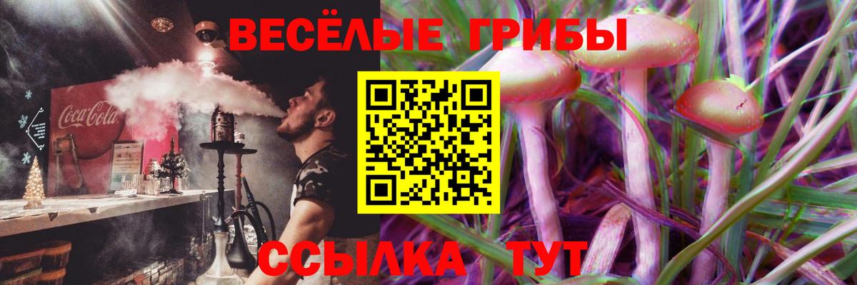 Псилоцибиновые грибы MAGIC MUSHROOMS  Вход с VPN  Магадан 