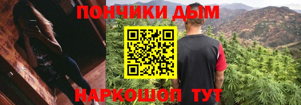 Конопля сатива Магадан